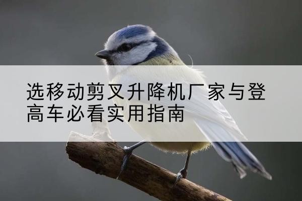 秀山电动升降机厂家-选移动剪叉升降机厂家与登高车必看实用指南