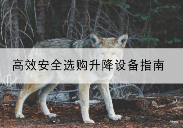 秀山升降货梯厂家推荐-*安全选购升降设备指南